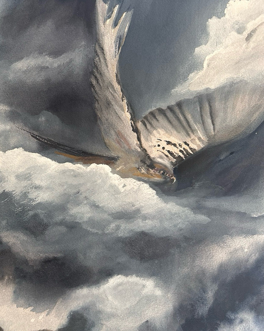 Weathering the Storm