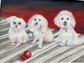 Three White Dogs