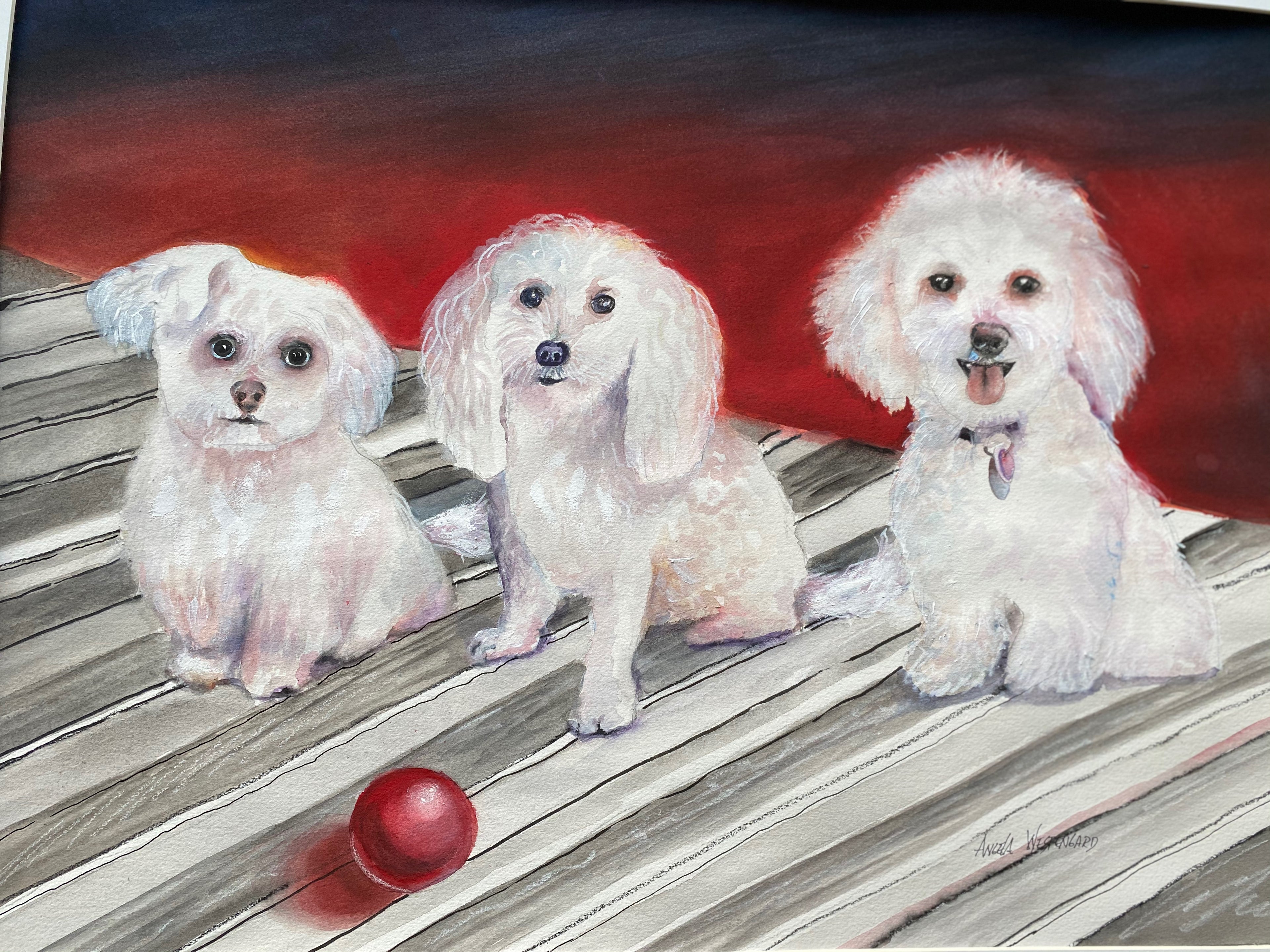 Three White Dogs