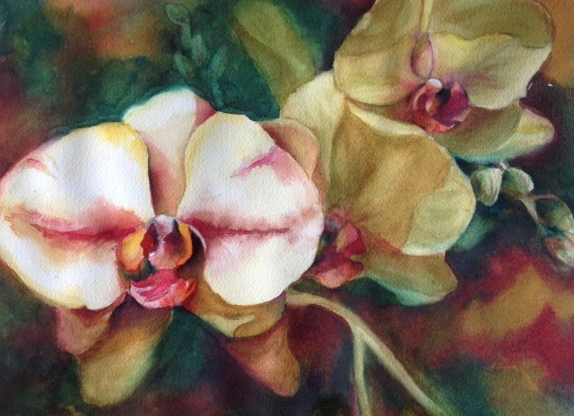 Iris Dream
