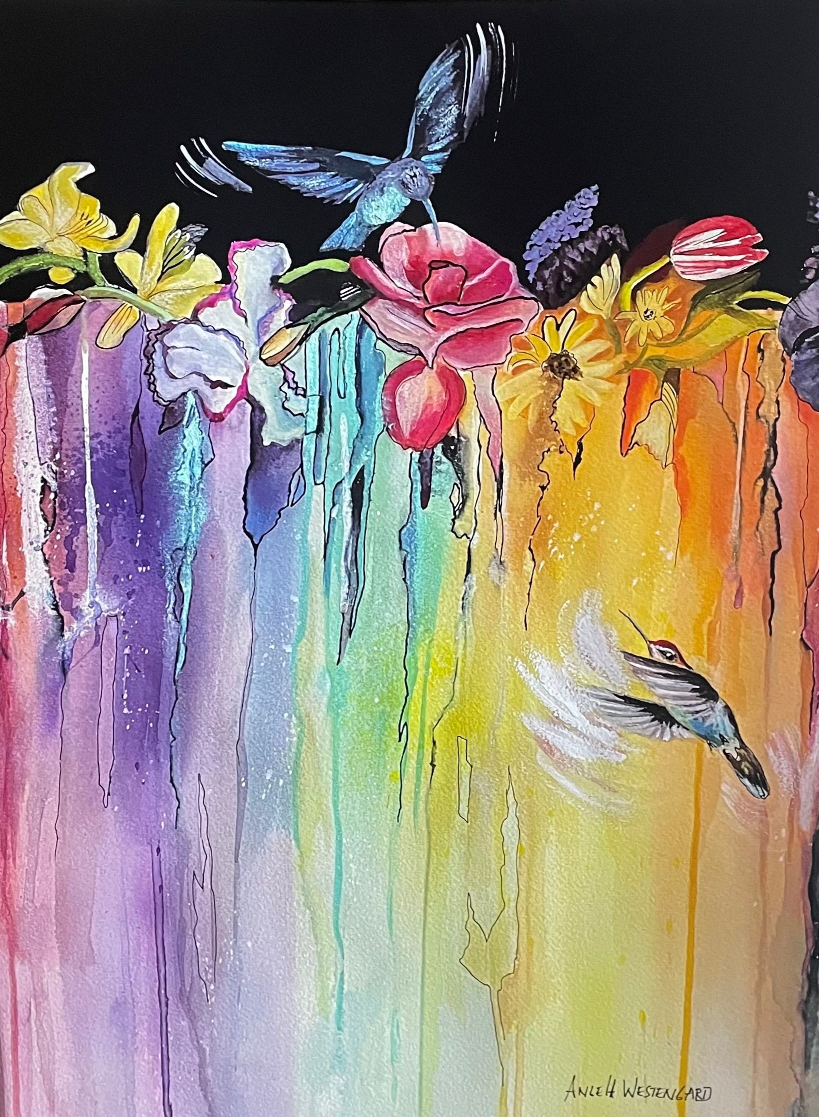 Rainbow Nights