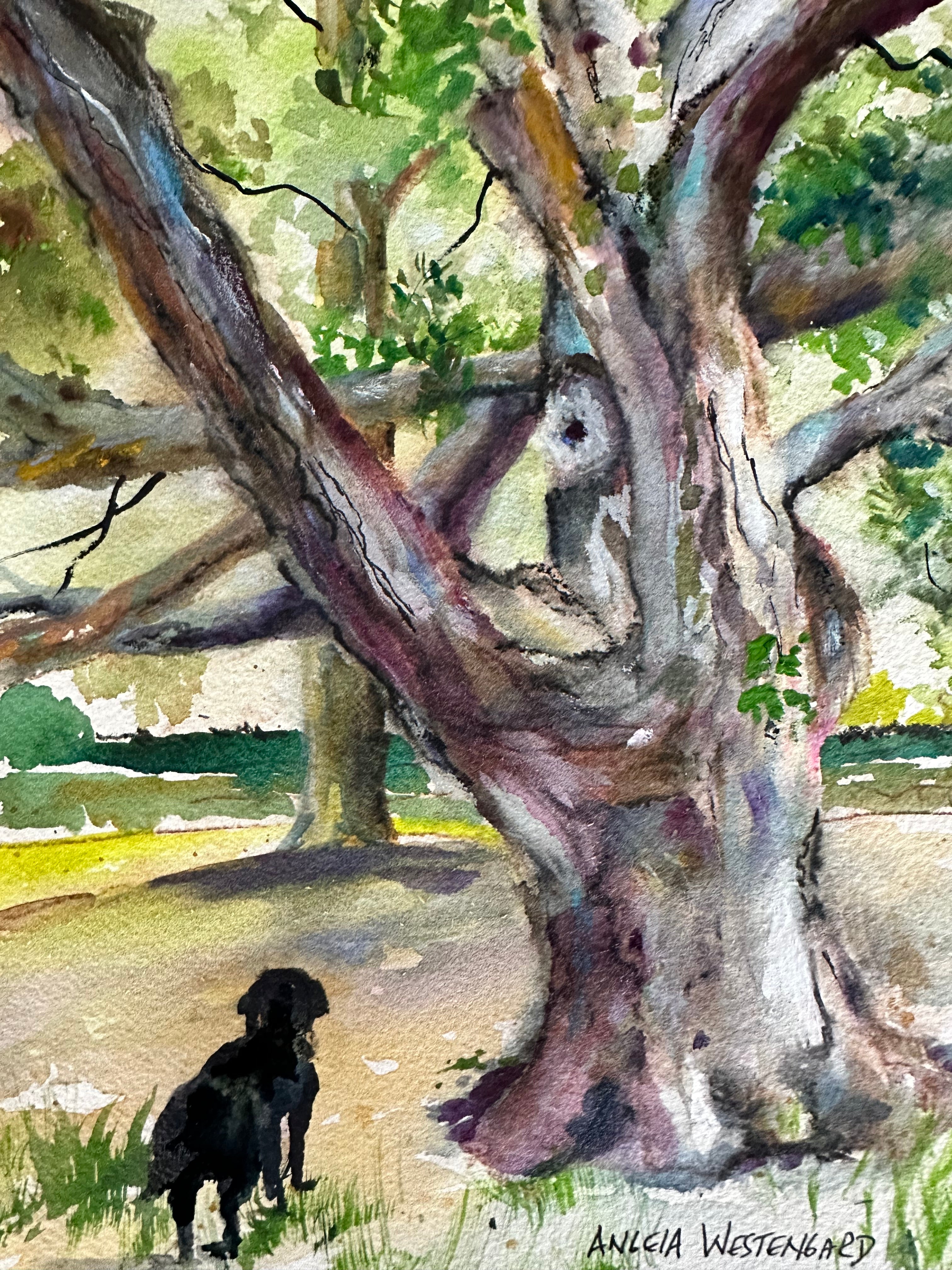 Twisting Oak