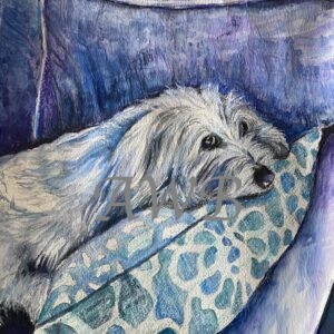Bessie's Favorite Pillow