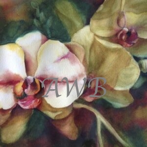 PINK/PURPLE ORCHIDS