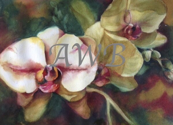 PINK/PURPLE ORCHIDS